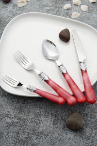24 Pieces Stainless Steel Cutlery Set Fuchsia