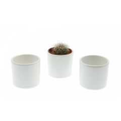 Porcelain Succulent Flowerpot Set - 7x7 - White Decors, Porcelain Decors | Loftry