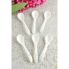 6 Piece Porcelain Teaspoon