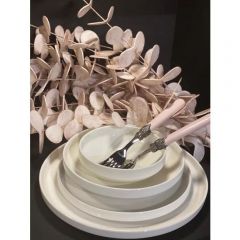 24 Piece Porcelain Dinnerware, Service for 6