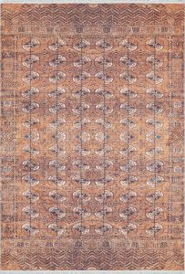 Eccentric Pattern Kilim Washable Rug