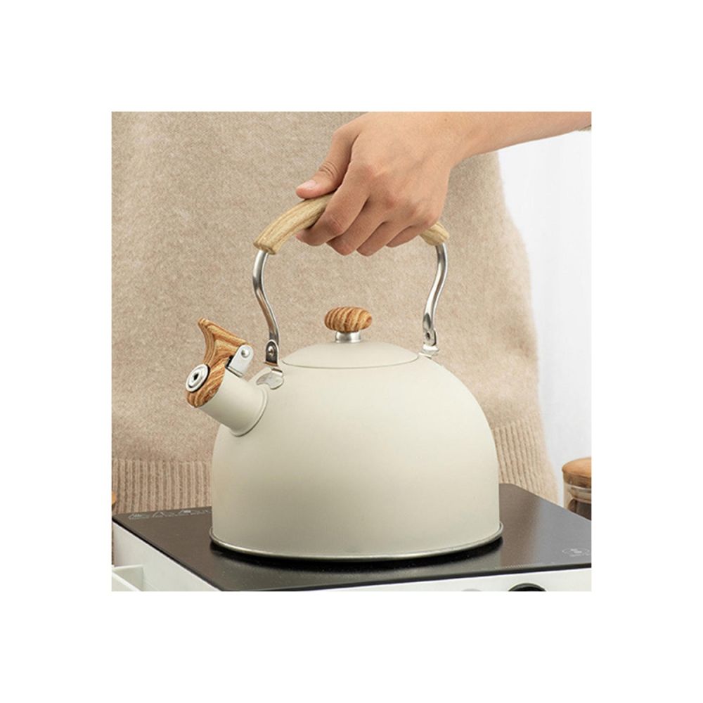 Vintage Induction Base Kettle - 18x13 - Grey Teapots, Stainless Steel  Teapots